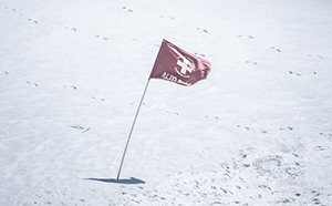 Galeria de Fotos de Ondas